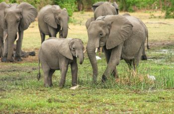 facts about Africa