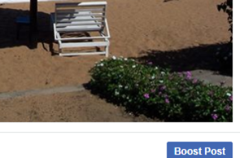 does Facebook boost work